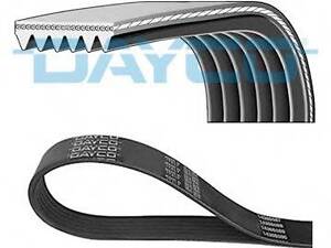 Ремень многоклиновой DAYCO 6PK938 на HONDA ACCORD Mk VII купе (CG)
