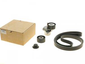 RENAULT 7701476645 Комплект ременя генератора Opel Vivaro 2.0CDTI 06-/Renault Master 2.3dCi 10- (7PK1973)