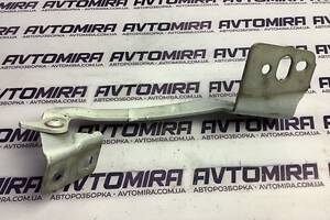 Петля капота права Renault Kangoo 2008-2016 8200386304