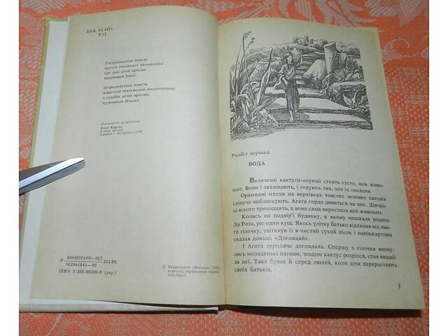 Рене Реджані, 'Поїзд сонця' - Фото 2