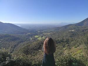 Репетитор немецкого и французского