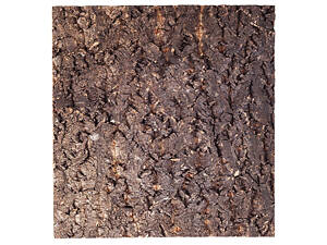 Repti-Zoo Фон з кори для тераріуму Repti-Zoo Big Tree Background 45х45