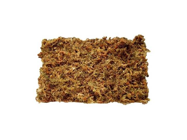 Repti-Zoo Наполнитель сфагновый мох для террариума Repti-Zoo, 4л - Фото 3