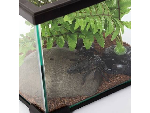 Repti-Zoo Террариум Repti-Zoo 21x31x15см (AK09BG) - Фото 3