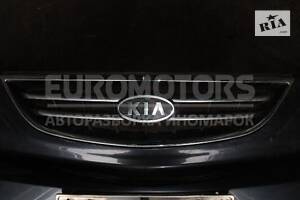 Решітка радіатора хром Kia Carens 2002-2006 29726