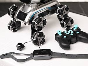 Робот собака на радіоуправлінні 25х16х17см з музикою + Пульт / Трюкова / Інтерактивний Stunt Robot Dog РП7460