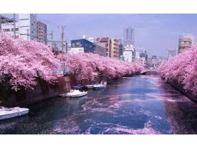 Робота в туристичній фірмі - Фото 2