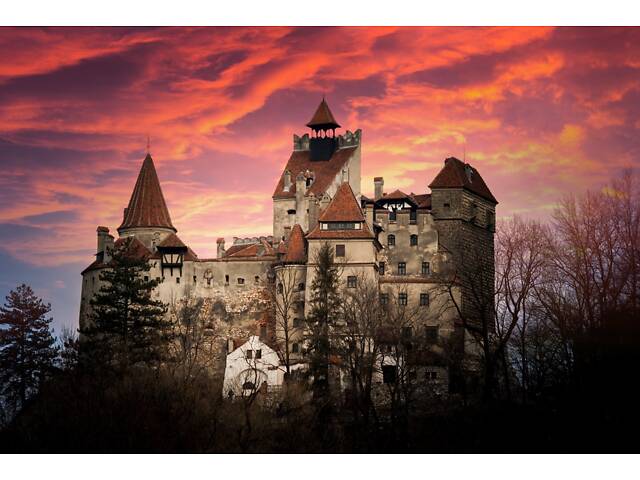 Робота в туристичній фірмі - Фото 13