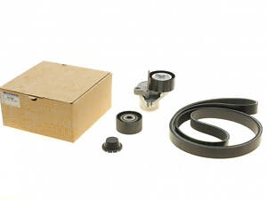 Ролик привідного ременя RENAULT 7701476645 Renault Espace, Master, Trafic, Laguna 38920PK1023, 60561247, A0019933696