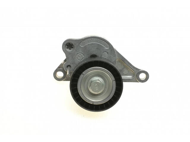 Ролик привідного ременя RENAULT 7701476645 Renault Espace, Master, Trafic, Laguna 38920PK1023, 60561247, A0019933696 - Фото 9