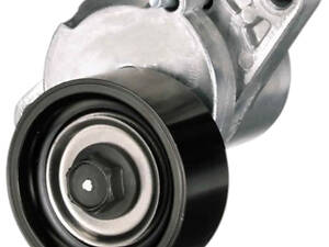 Ролик Renault Clio 1998-2024 GATES T38456