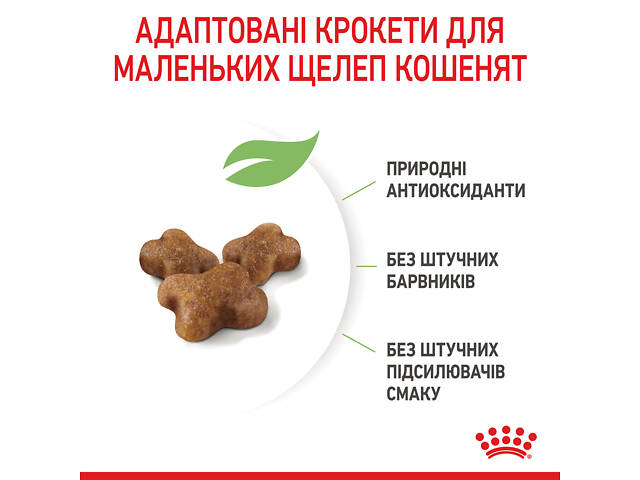 Royal Canin Kitten (Роял Канин Киттен) сухой корм для котят в период второй фазы роста 2 кг. - Фото 4