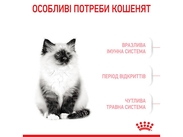 Royal Canin Kitten (Роял Канин Киттен) сухой корм для котят в период второй фазы роста 2 кг. - Фото 7