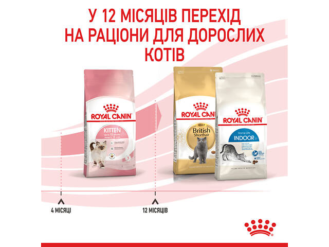 Royal Canin Kitten (Роял Канин Киттен) сухой корм для котят в период второй фазы роста 2 кг. - Фото 6