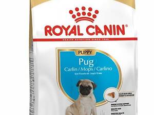 Royal Canin Pug Puppy (Роял Канин Мопс Паппи) сухой корм для щенков 1.5 кг.