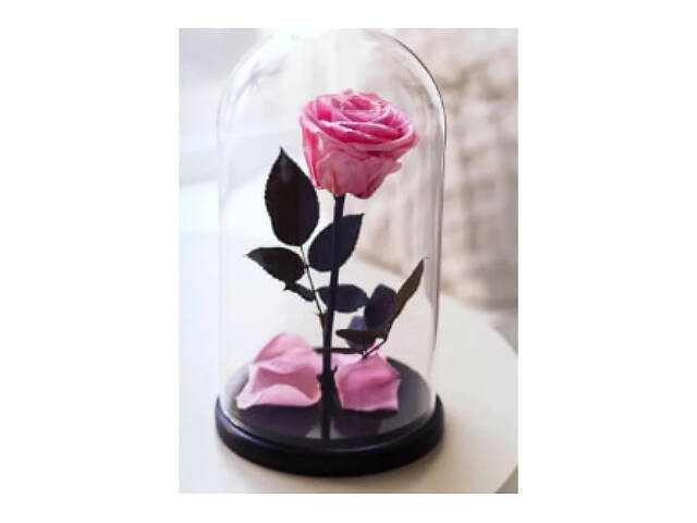 Роза в колбі з LED підсвічуванням XPRO 60 шт. (43542-_226) - Фото 1