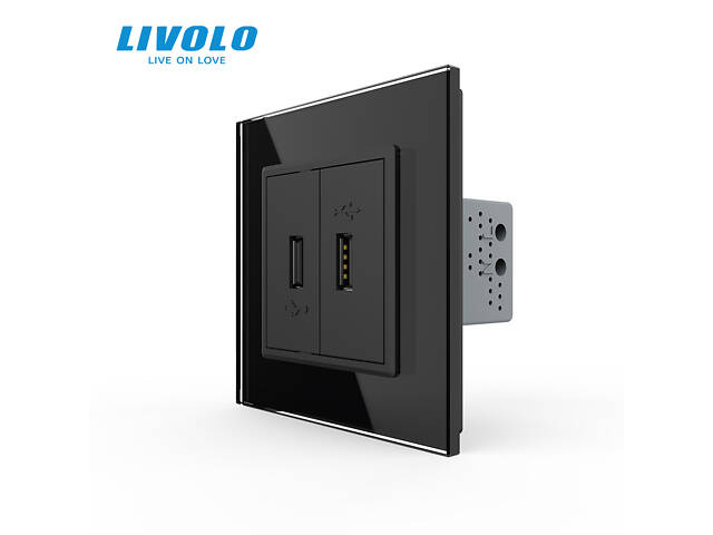 Розетка подвійна USB з блоком живлення Livolo чорний скло (VL-C792U-12)