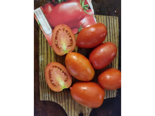 Розсада айстр, баклажанів, помідорів, перцю, капусти - Фото 7