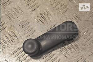 Ручка стеклоподъемника Renault Sandero 2007-2013 8200673745 25029