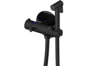 Ручний змішувач-біде з розпилювачем з нержавіючої сталі XPRO (44913-_356)