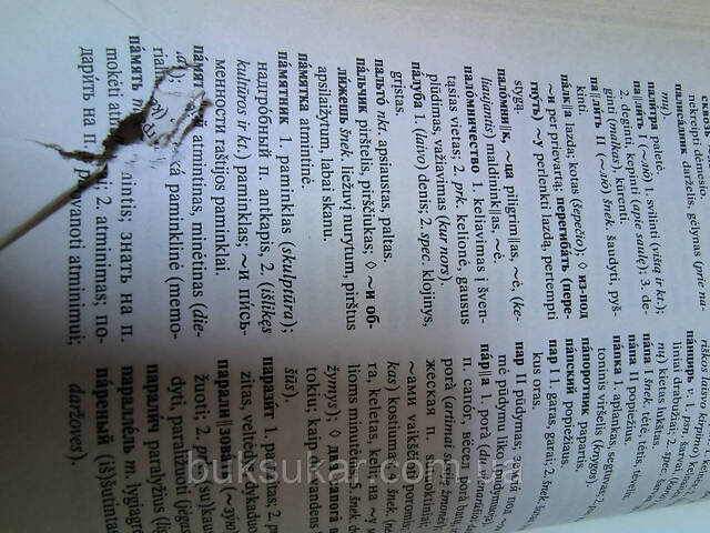 Русско-литовский литовско-русский словарь б/у - Фото 9