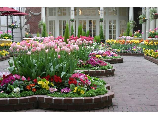 Садоводство Цветоводство Озеленение Уход за клумбами цветами растениями Ландшафтный дизайн Консультации онлайн выезд - Фото 1