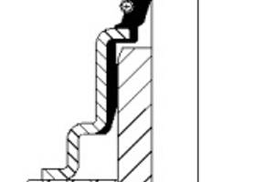 Сальник клапанів, (1шт.) 2.0-2.4DI