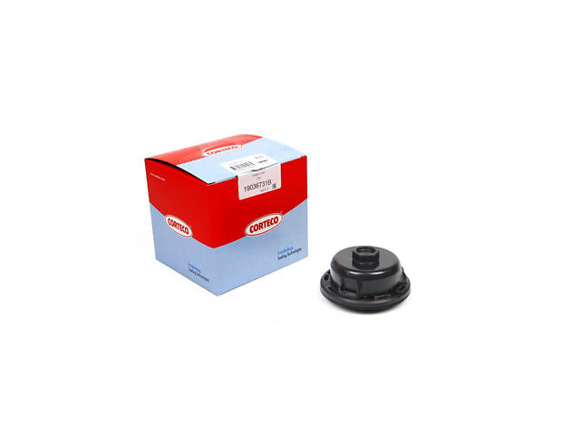 19036731b Сальник коленвала: Сальник колінвала в Одесі на ZAPCHASTI.RIA