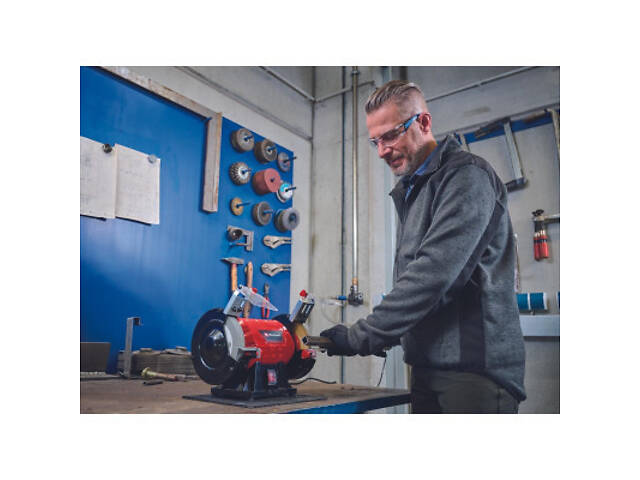 Щітка для електроінструменту Einhell диск до станка TC-BG 150 B, діаметр 150мм (4412636) - Фото 3