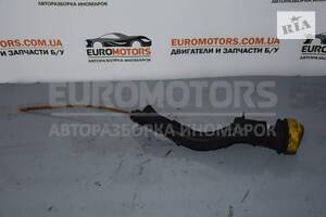 Щуп уровня масла Renault Espace 2.0dCi (IV) 2002-2014 8200809267