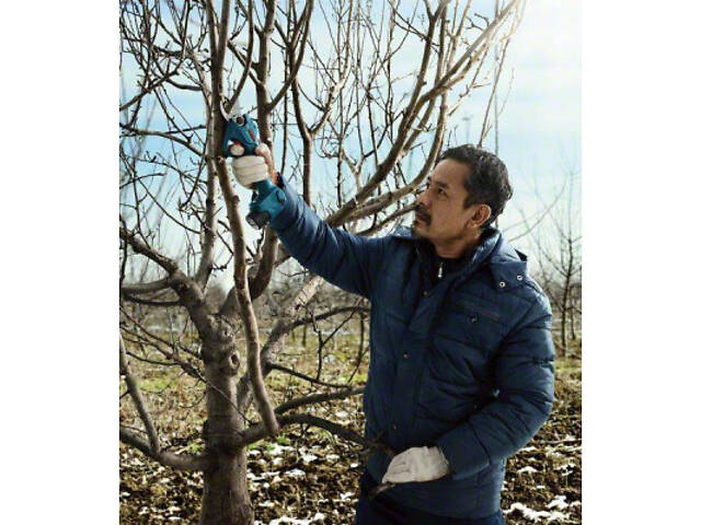 Секатор Bosch Pro Pruner (без АКБ і ЗУ) (0.601.9K1.020) - Фото 7
