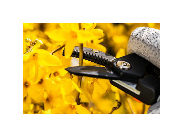 Секатор Neo Tools контактний, d різу 15мм, 185мм, 169г (15-201) - Фото 8