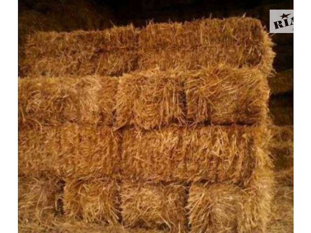 Сено, солома. Люцерна. Разнотравье. Луговое. - Фото 2