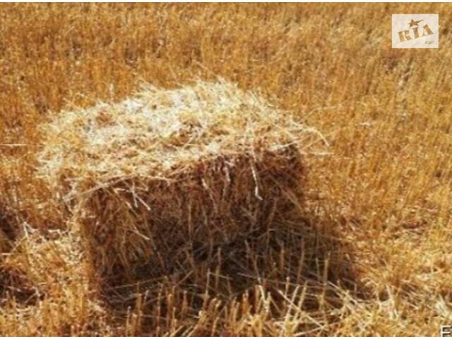 Сено, солома. Люцерна. Разнотравье. Луговое. - Фото 5