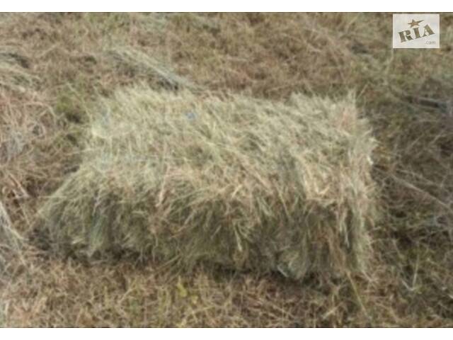 Сено, солома. Люцерна. Разнотравье. Луговое. - Фото 6