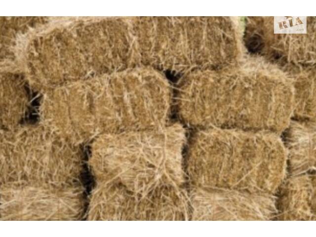 Сено, солома. Люцерна. Разнотравье. Луговое. - Фото 7