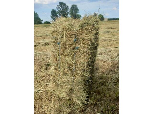 Сено, солома. Люцерна. Разнотравье. Луговое. - Фото 8