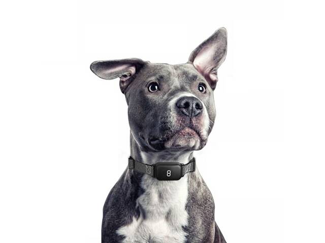 Сенсорный водонепроницаемый ошейник антилай со звуком, вибрацией и электрошоком DOBE DB 800 - Фото 2