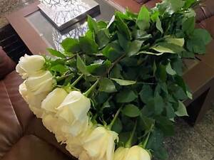 Магазин цветов Днепр. Доставка букетов на дом