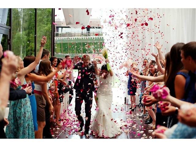 Свадьба в Одессе. Тамада и музыка - Фото 11