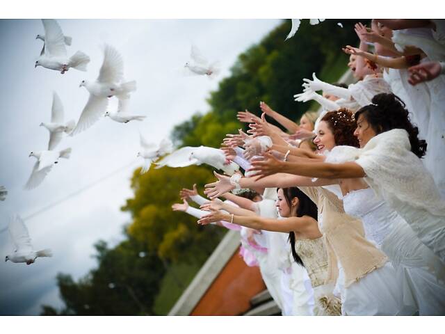 Свадьба в Одессе. Тамада и музыка - Фото 12