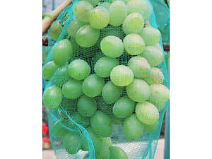 Сітка для захисту винограду 5 кг (28*40см) 50шт/уп, зелена