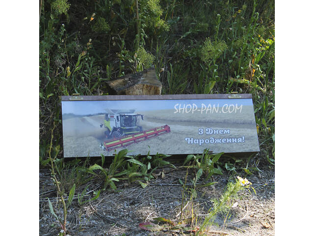 Шампура з гравіюванням 12 шт. - Фото 7