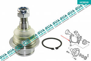 Шаровая опора нижняя 10FR1300 Ford/FORD TRANSIT 2000-2006/ТРАНЗИТ 00-06, Ford/FORD TRANSIT 2006-/ТРАНЗИТ 06-