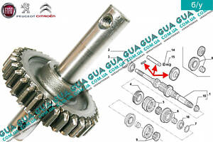 Шестерня ( зубчатое колесо коробки переключения передач ) задняя передача с валом КПП 9684810388 Citroen / СИТРОЭН JUMP