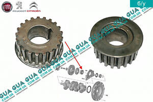 Шестерня колінвала ГРМ 0513A9 Citroen/СІТРОЕН JUMPY 1995-2004/ДЖАМПІ 1, Citroen/СІТРОЕН JUMPY II 2004-2006/ДЖАМП