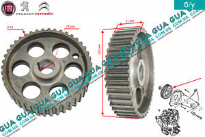 ШЕСТЕРНЯ ТНВД (ШКИВ, ПРИВОД) 42 зуба 193028 Citroen/СИТРОЭН JUMPER 1994-2002/ДЖАМПЕР 1, Citroen/СИТРОЭН JUMPY 1