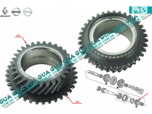 Шестерня Z29 (зубчатое колесо) 5 передачи вторичного вала КПП 7701716623 Nissan / НИССАН INTERSTAR 1998-2010 / ИНТЭРСТАР