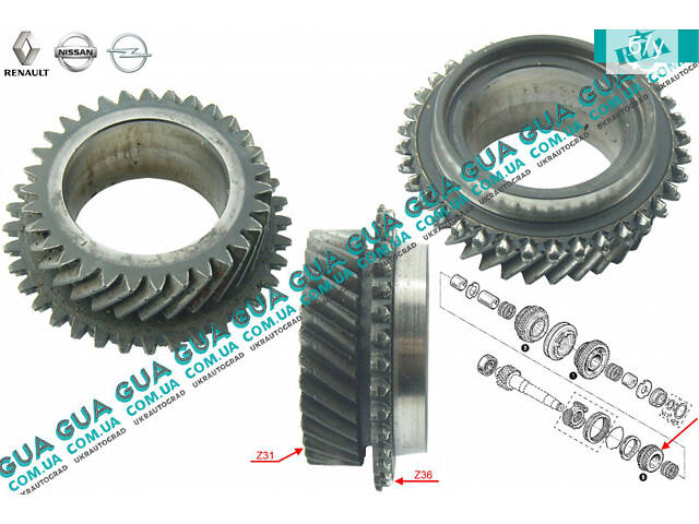 Шестерня Z31 (зубчатое колесо) 5 передачи вторичного вала КПП ( 1 насечка ) 8200184048 Nissan / НИССАН INTERSTAR 1998-20
