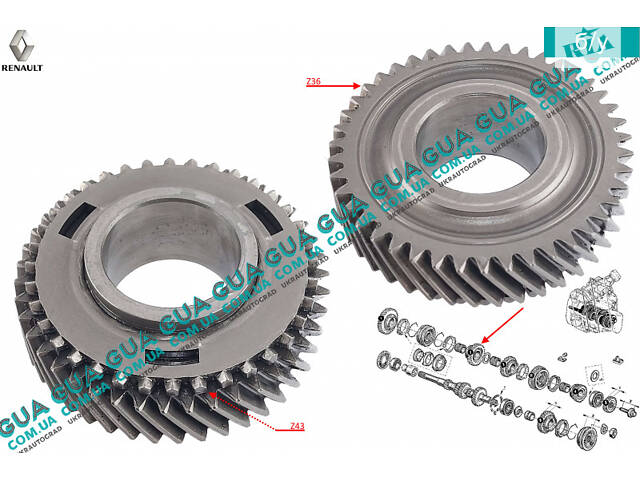 Шестерня Z43 (зубчатое колесо) 2 передача вторичного вала КПП 8200641095 Nissan / НИССАН KUBISTAR 1997-2008 / КУБИСТАР 9